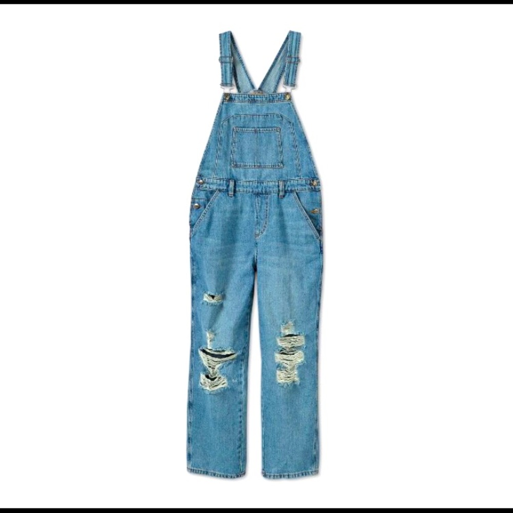 Wild Fable Overalls